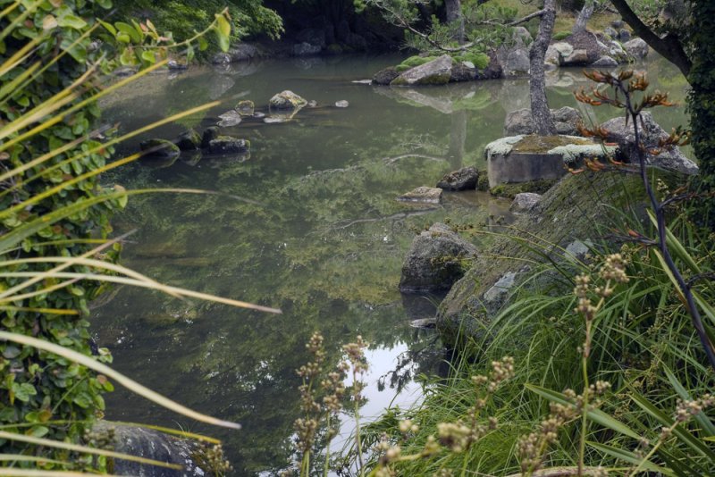 Japanese Garden pond.jpg