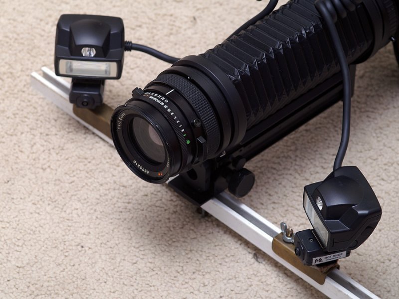 Carl Zeiss Makro-Planar with bellows setup and twin flash on Canon 5D