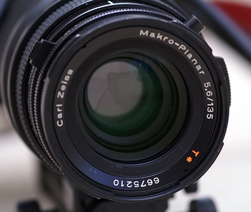Carl Zeiss Makro-Planar with bellows setup and twin flash on Canon 5D