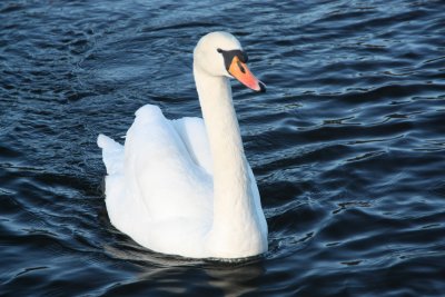 IMG_0748.JPG