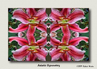 Asiatic Symmetry