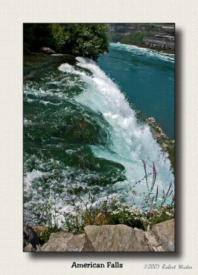 American Falls with Wild Flowers