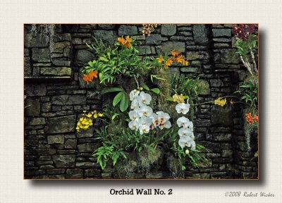 Orchid Wall No. 2 