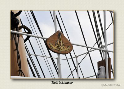 Roll  Indicator 
