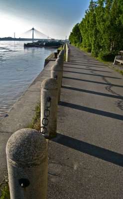 IMG_1657.jpg