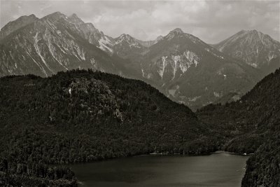 IMG_4291.jpg