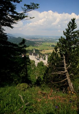 IMG_4327.jpg