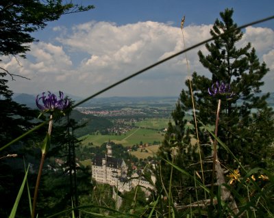 IMG_4334.jpg