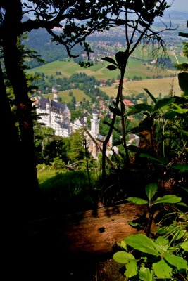 IMG_4370.jpg