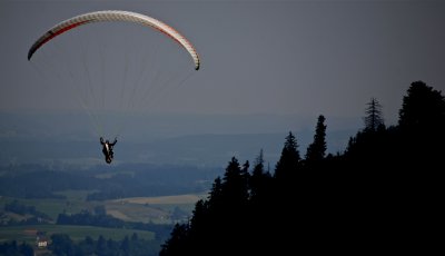 IMG_4388.jpg