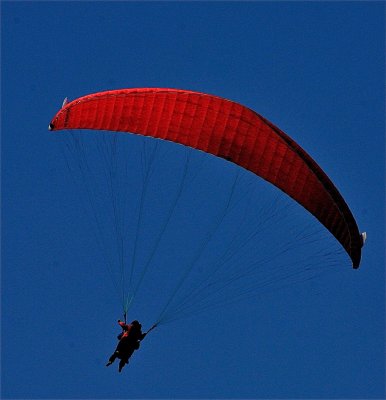 IMG_4417.jpg