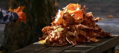 IMG_6988.jpg