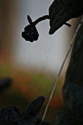 IMG_7047.jpg
