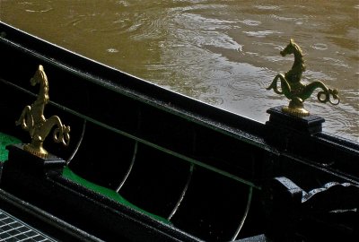 IMG_3904.jpg
