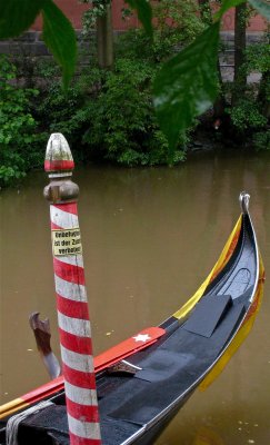 IMG_3908.jpg