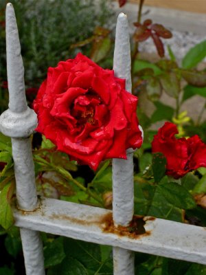 IMG_3997.jpg