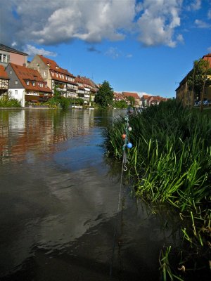 IMG_4159.jpg