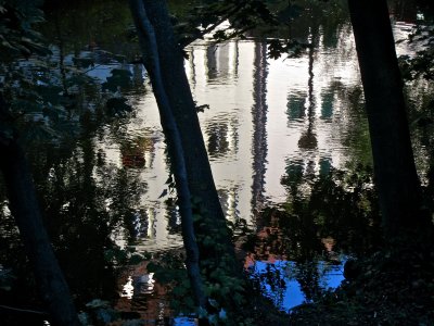 IMG_4239.jpg