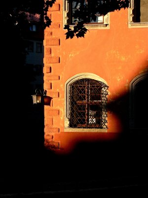 IMG_4255.jpg