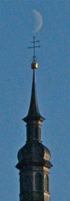 IMG_4278.jpg