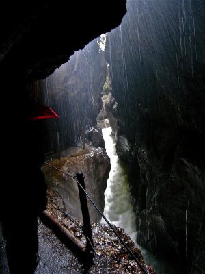 IMG_4464.jpg