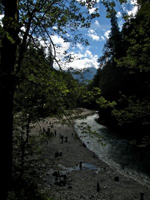 IMG_4510.jpg