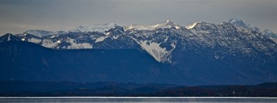 IMG_8081.jpg
