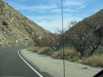 2010 Desert terrain where fire had been near Julian