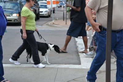 The Flagstaff RT 66 Car Show Dogs 9-8-12 019.jpg