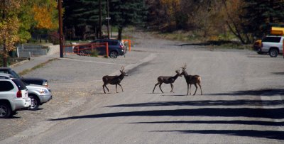 Ouray ACTC 10 7 12  (46).jpg