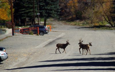 Ouray ACTC 10 7 12  (47).jpg