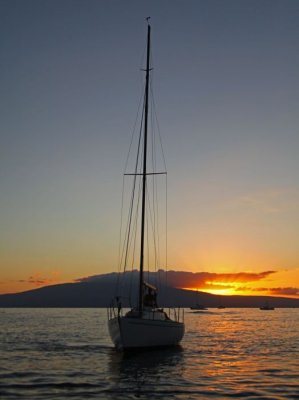 Sailboat Sunset - Maui