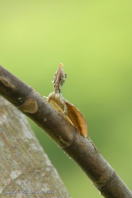 IMG_4323--web.jpg