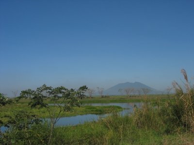 View from our vantage point with Mt. Arayat in the background