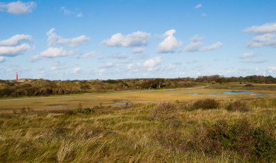 Duingebied met vuurtoren op achtergrond