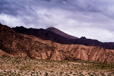DSC_1377.jpg
