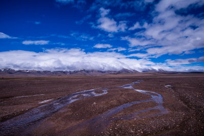 DSC_1838.jpg
