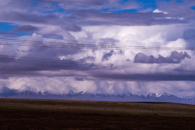 DSC_1977.jpg