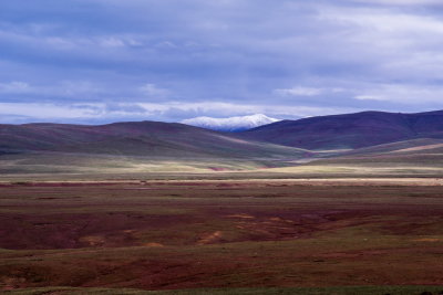 DSC_2059.jpg