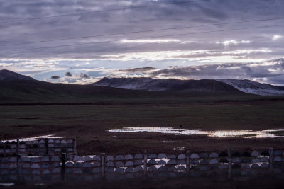 DSC_2145.jpg