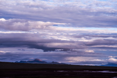 DSC_2161.jpg