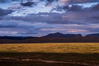DSC_2201.jpg