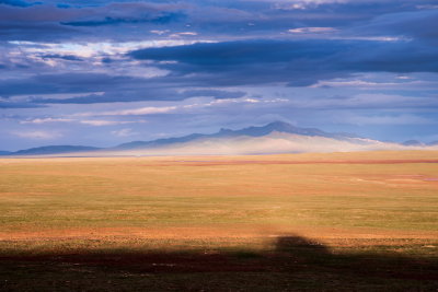 DSC_2202.jpg