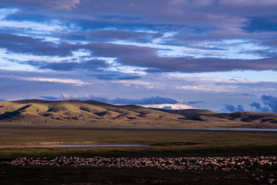 DSC_2205.jpg