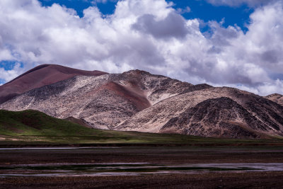 DSC_2328.jpg