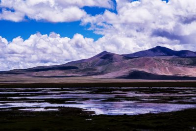 DSC_2407.jpg