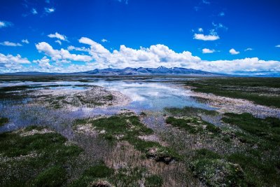 DSC_2416.jpg