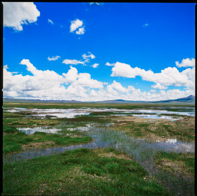 Tibet 西藏