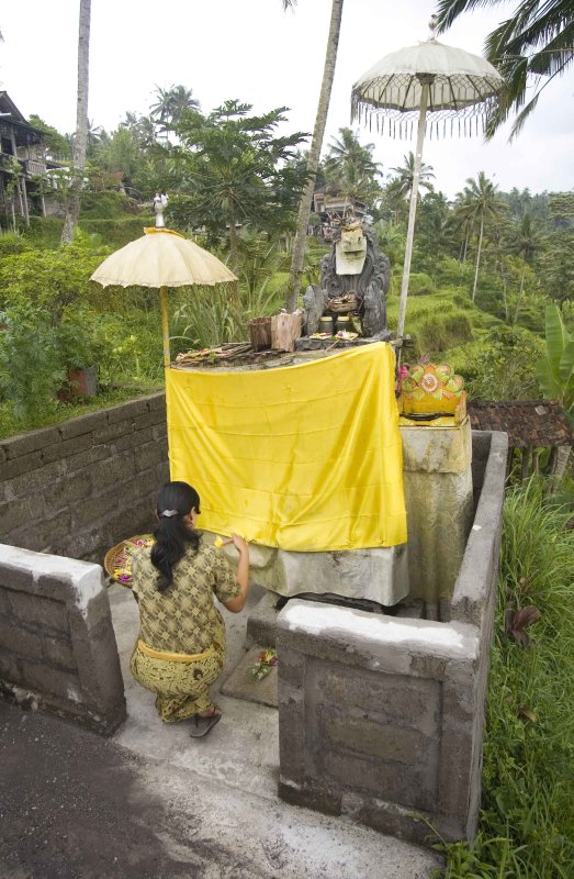 morning ceremony.jpg