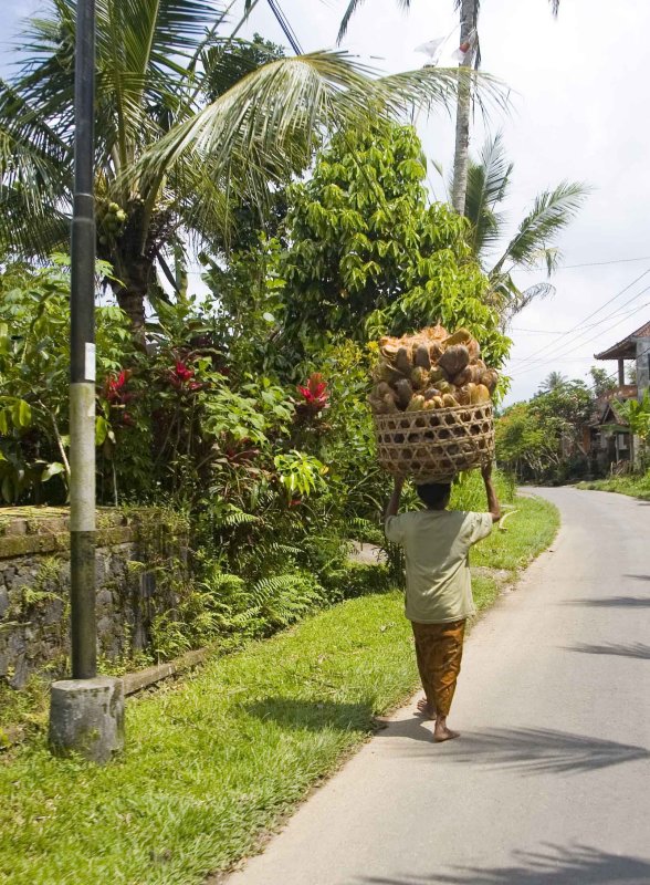 The easy way to carry.jpg
